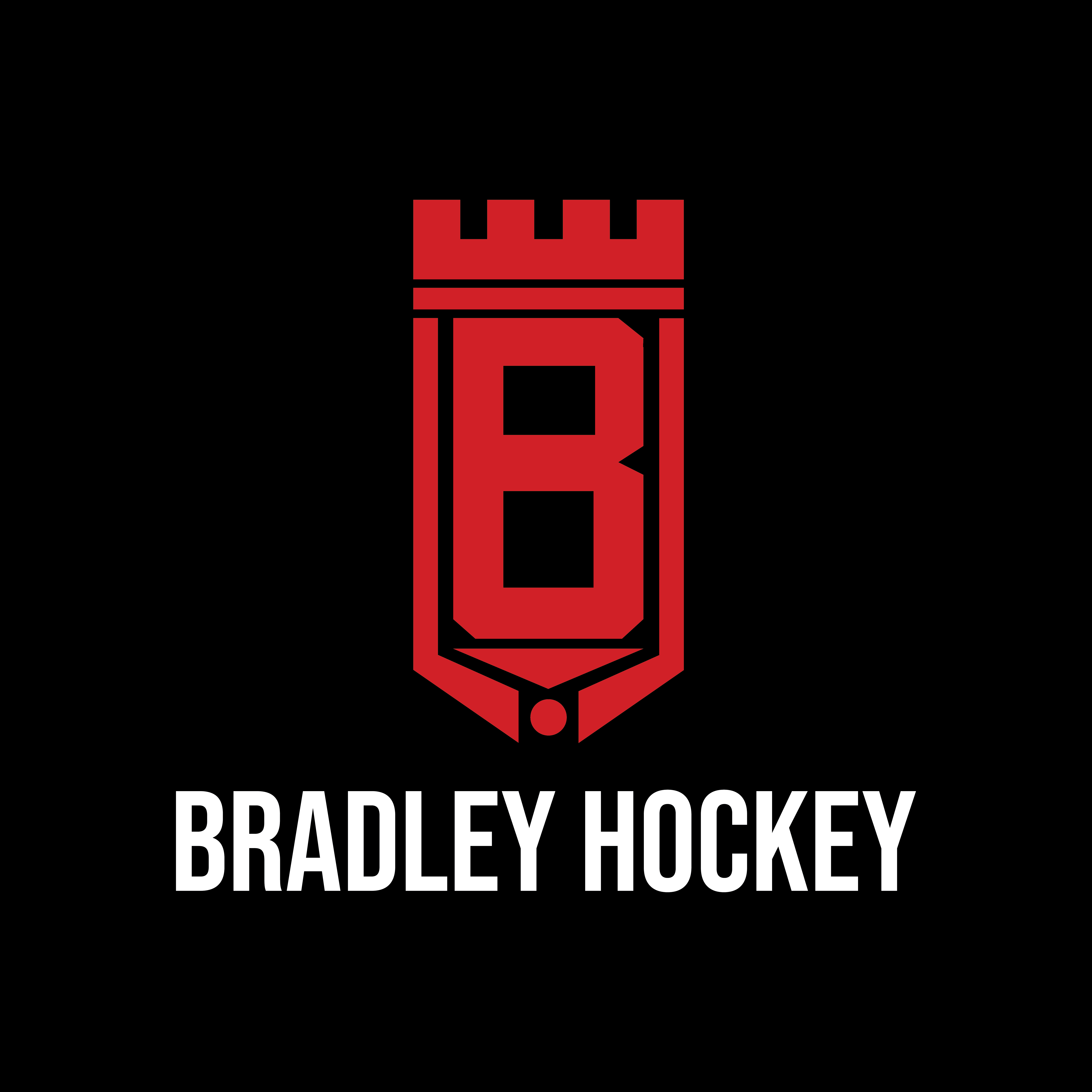 Bradley University Hockey