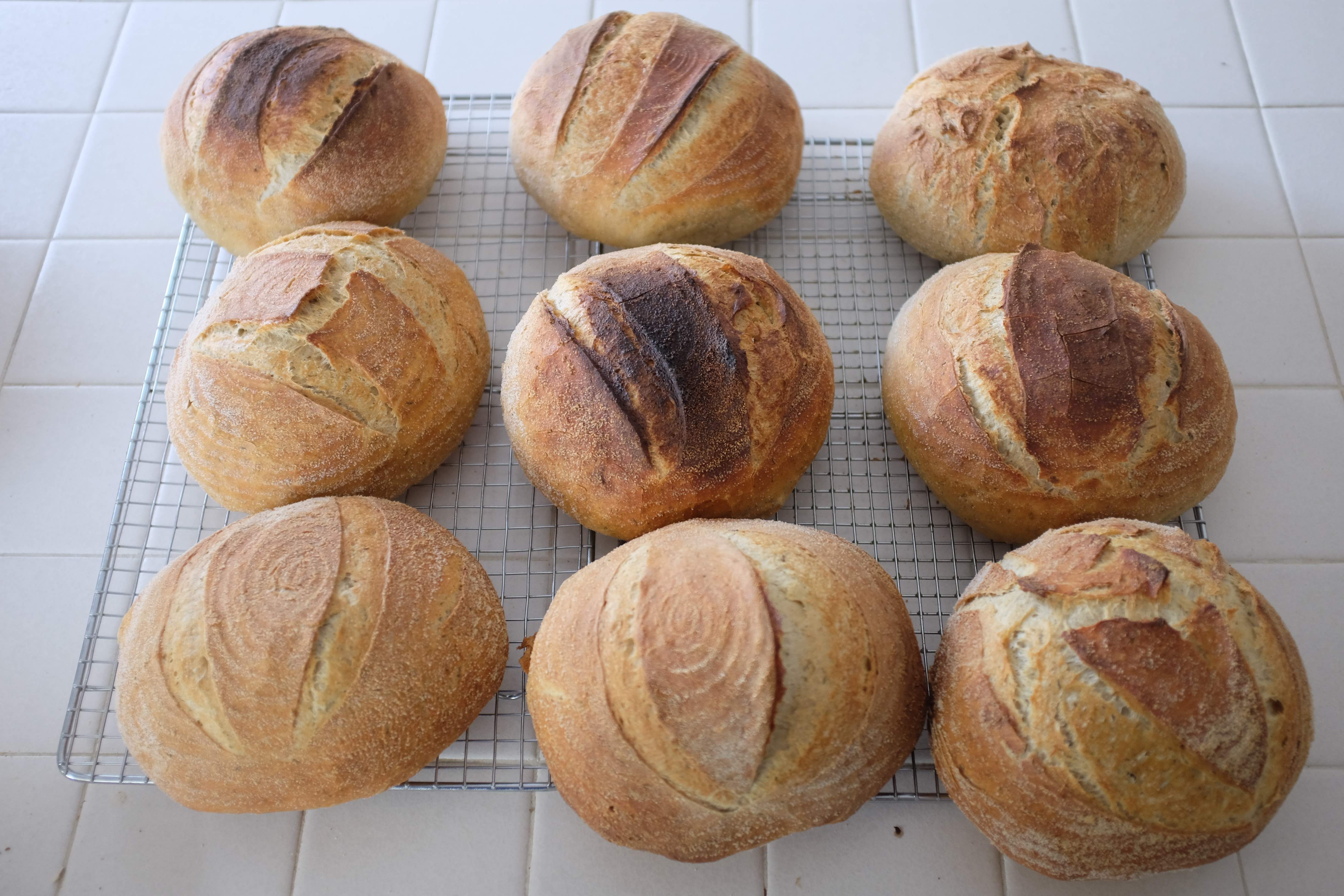 My Fresh Bread Company