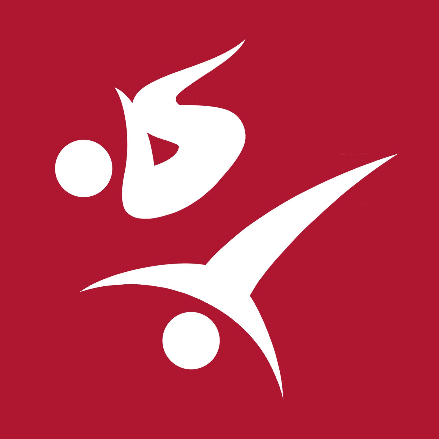 Emilia's Acrobatics & Gymnastics Training Center