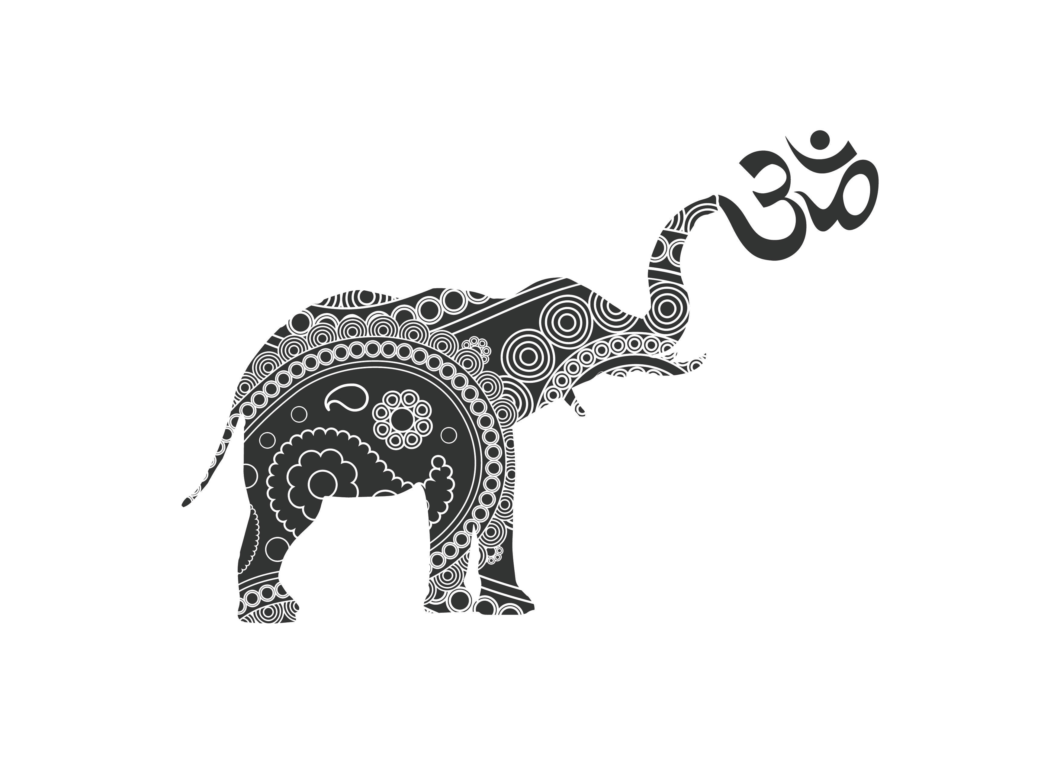 Lucky Elephant Yoga and Wellness