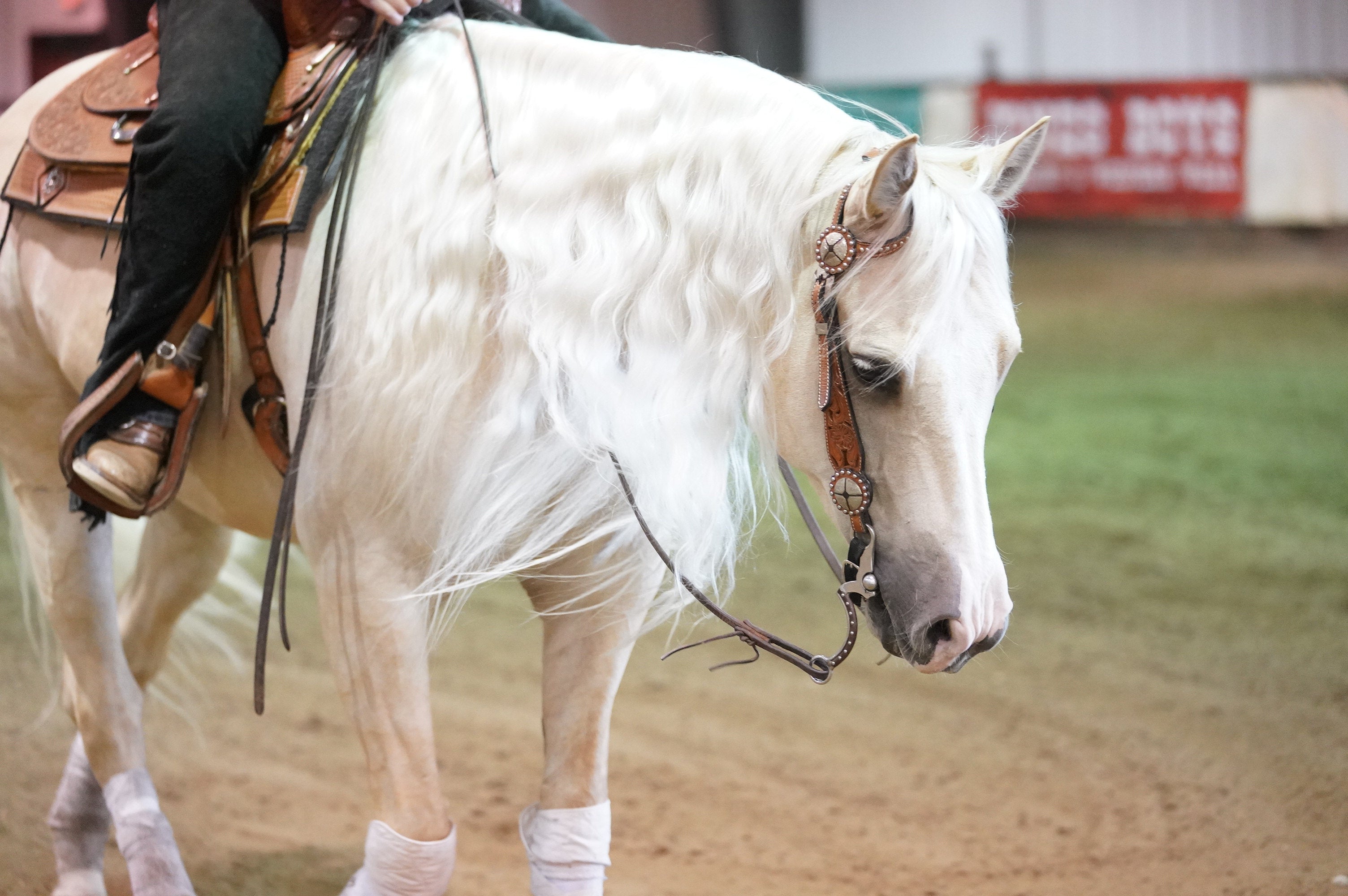 Reining Alberta - Classic Shows